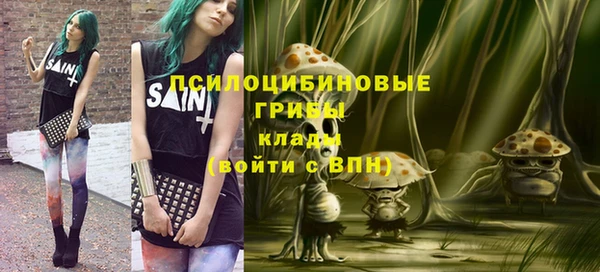 соль ск Осташков